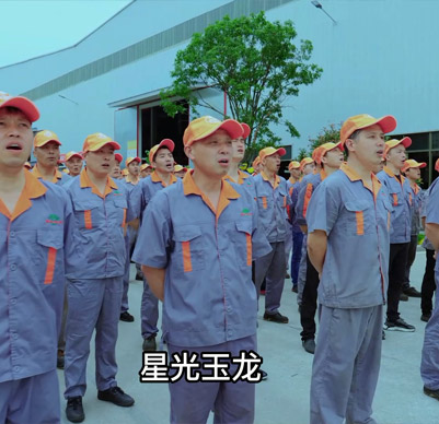 公司团队